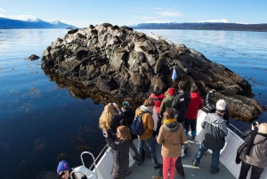 Ushuaia: Paseo Beagle entre Pingüinos Navegación Isla de Lobos