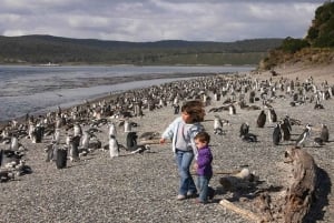 Ushuaia: Paseo Beagle entre Pingüinos Navegación Isla de Lobos