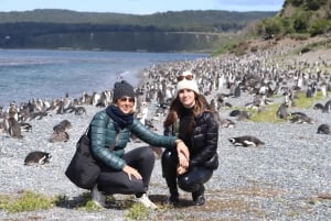 Ushuaia: Beagle-vandring bland pingviner Navigation Isla de Lobos