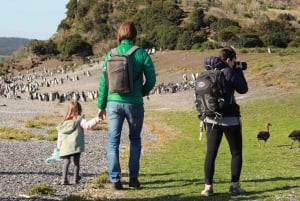 Ushuaia: Paseo Beagle entre Pingüinos Navegación Isla de Lobos