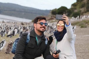 Ushuaia : Marche du Beagle parmi les pingouins Navigation Isla de Lobos