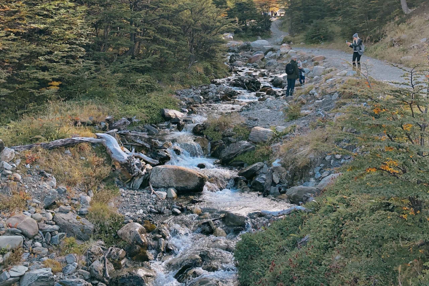 USHUAIA : Tour della città + Riserva del Ghiacciaio Marziale
