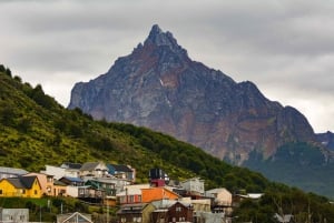 Stadsvandring i Ushuaia: vespertur med middag