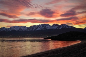 Stadsvandring i Ushuaia: vespertur med middag