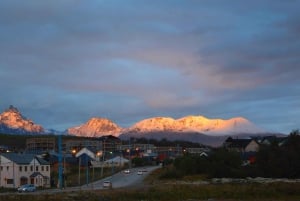 Stadsvandring i Ushuaia: vespertur med middag