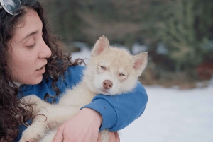 Ushuaia: Complete Husky Experience + Buoy Park with Transfer