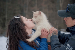 Ushuaia: Complete Husky Experience + Buoy Park with Transfer