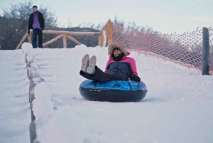 Ushuaia: Complete Husky Experience + Buoy Park with Transfer