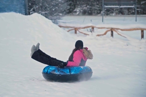 Ushuaia: Complete Husky Experience + Buoy Park with Transfer