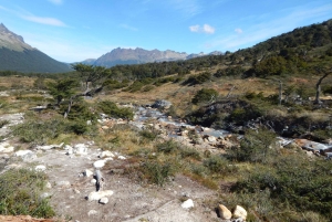 Ushuaia: Passeio de trekking na LAGOA ESMERALDA