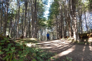 Ushuaia: Passeio de trekking na LAGOA ESMERALDA