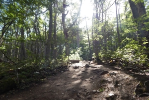 Ushuaia: Passeio de trekking na LAGOA ESMERALDA