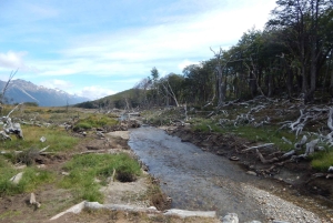 Ushuaia: Passeio de trekking na LAGOA ESMERALDA