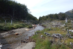 Ushuaia: Passeio de trekking na LAGOA ESMERALDA