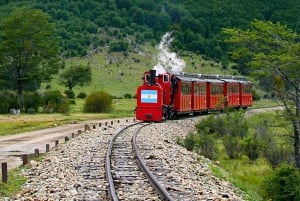 Tour del parco e del treno della Terra del Fuoco per crocieristi (senza biglietti)