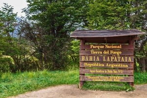 Tour del parco e del treno della Terra del Fuoco per crocieristi (senza biglietti)