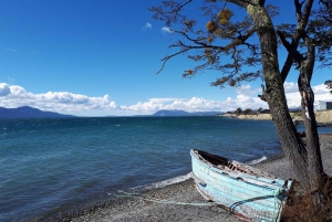 Ushuaia: Escondido & Fagnano Lake Tour