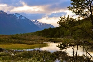 Ushuaia: Esmeralda Lagune Wandertour mit Mittagessen und Getränken