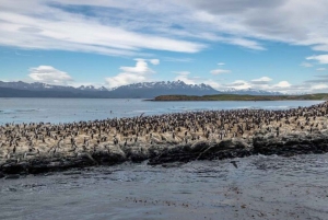 Ushuaia Erkundung: 4-tägiges Abenteuer am Ende der Welt