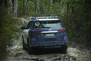 Ushuaia Explorer: 4-tägiges Abenteuer am Ende der Welt