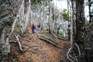 Ushuaia Explorer: 4-tägiges Abenteuer am Ende der Welt