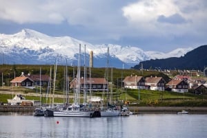 Ushuaia Explorer: 4-tägiges Abenteuer am Ende der Welt