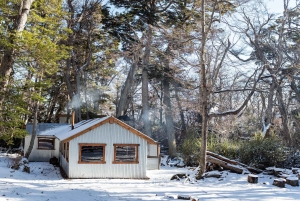 Ushuaia: tour por los lagos fueguinos, los Andes y el lago Fagnano