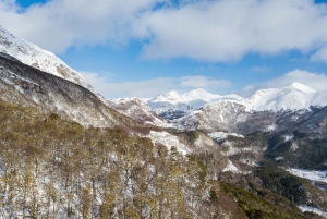 Ushuaia: tour por los lagos fueguinos, los Andes y el lago Fagnano