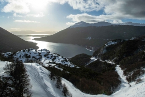 Ushuaia: tour por los lagos fueguinos, los Andes y el lago Fagnano