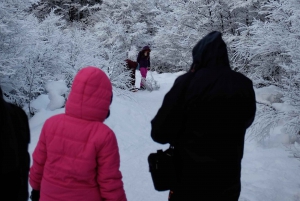 USHUAIA | Full Day Snow