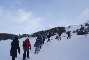 USHUAIA | Full Day Snow