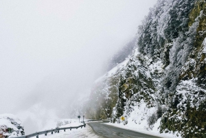 USHUAIA | Full Day Snow