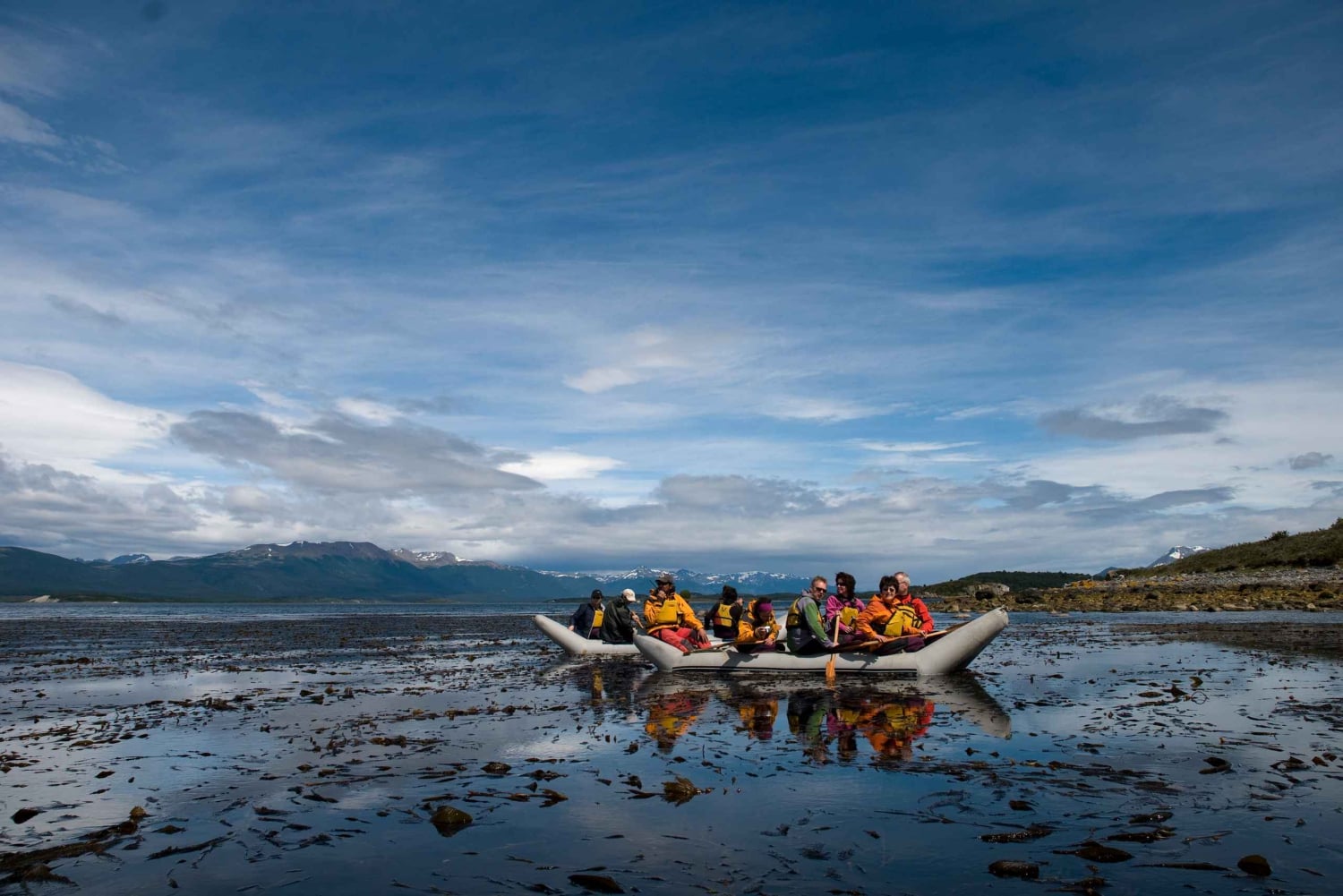 Ushuaia: Ilha Gable e Colónia de Pinguins com Canoagem