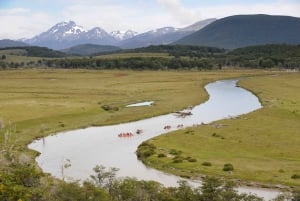 Ushuaia: Isola Gable e colonia di pinguini in canoa