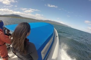 Ushuaia: Gable Island och Penguin Colony med kanotpaddling