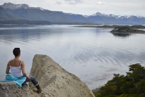 Ushuaia: Gable Island en pinguïnkolonie met kanoën