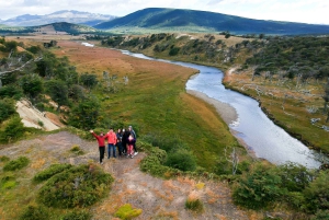 Ushuaia: Ilha Gable e Colónia de Pinguins com Canoagem