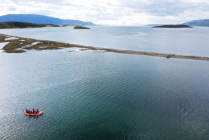 Ushuaia: Ilha Gable e Colónia de Pinguins com Canoagem