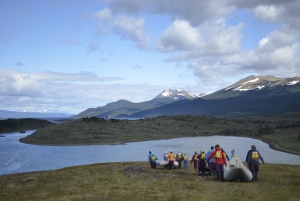 Ushuaia: Ilha Gable e Colónia de Pinguins com Canoagem