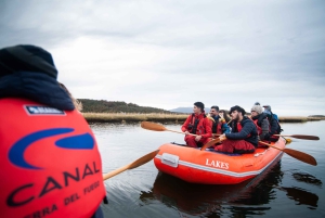 Ushuaia: Ilha Gable e Colónia de Pinguins com Canoagem