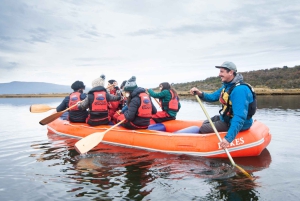 Ushuaia: Ilha Gable e Colónia de Pinguins com Canoagem