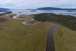 Ushuaia: Ilha Gable e Colónia de Pinguins com Canoagem