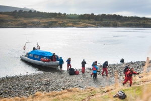 Ushuaia: Ilha Gable e Colónia de Pinguins com Canoagem