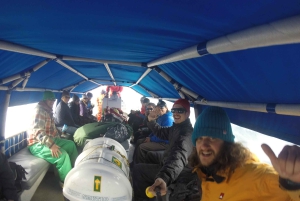 Ushuaia: Ilha Gable e Colónia de Pinguins com Canoagem