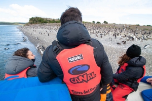 Ushuaia: Ilha Gable e Colónia de Pinguins com Canoagem