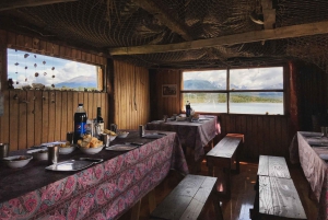 Ushuaia: Ilha Gable e Colónia de Pinguins com Canoagem