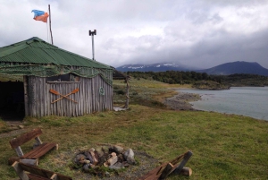 Ushuaia: Ilha Gable e Colónia de Pinguins com Canoagem