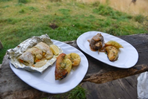 Ushuaia: Ilha Gable e Colónia de Pinguins com Canoagem