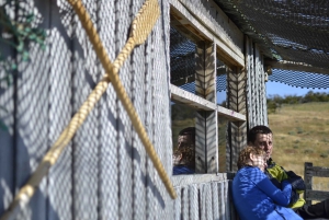 Ushuaia: Ilha Gable e Colónia de Pinguins com Canoagem