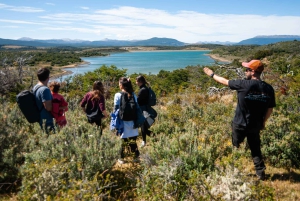 Ushuaia: Ilha Gable e Colónia de Pinguins com Canoagem